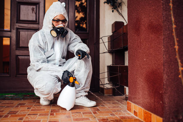 Reliable Cockroach Control contractor in Dodge City, KS by Nex Pest Control