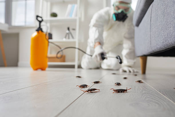 Trusted Rodent Control service in Dodge City, KS - Nex Pest Control