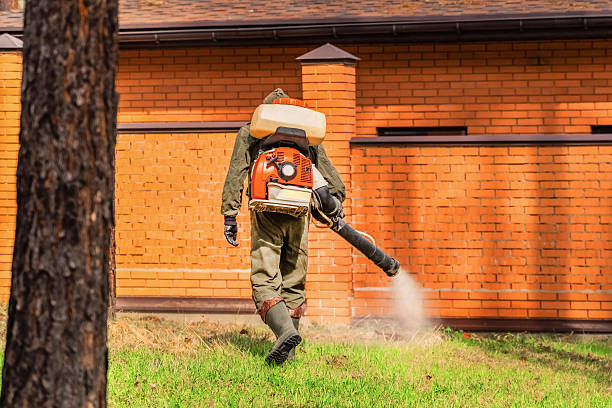Trusted Cockroach Control service in Dodge City, KS - Nex Pest Control